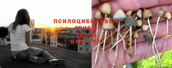 мяу мяу кристалл Аркадак
