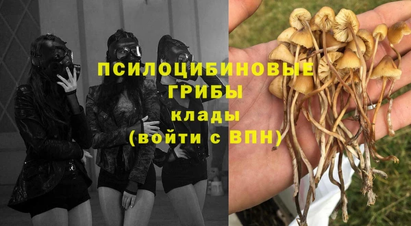 ALPHA PVP Армянск